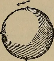 An illustration from William Gilbert of Colchester, physician of London, On the loadstone and magnetic bodies and on the great magnet the earth. A new physiology, demonstrated with many arguments and experiments .. (1893)