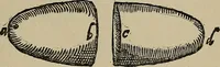 An illustration from William Gilbert of Colchester, physician of London, On the loadstone and magnetic bodies and on the great magnet the earth. A new physiology, demonstrated with many arguments and experiments .. (1893)
