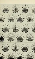 Picture 14 of 49 from William Morris, his art, his writings, and his public life : a record (1898), leaf 112
