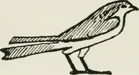 An illustration from William Morris to Whistler; papers and addresses on art and craft and the commonweal (1911)