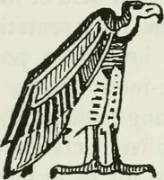 An illustration from William Morris to Whistler; papers and addresses on art and craft and the commonweal (1911)