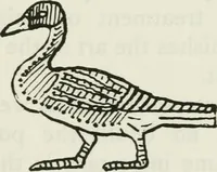 An illustration from William Morris to Whistler; papers and addresses on art and craft and the commonweal (1911)