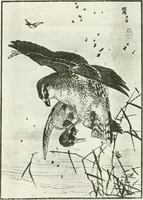 An illustration from William Morris to Whistler; papers and addresses on art and craft and the commonweal (1911)