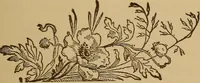 An illustration from The will to be well (1906)