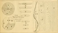 An illustration from Wilson’s Carpentry and joinery / by John Wilson (1891)