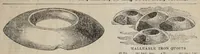 An illustration from Wilson's winter sports toys and games : catalogue no. 30, 1903-1904 (1903)