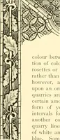 An illustration from Windows; a book about stained & painted glass (1897)