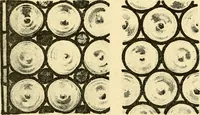 An illustration from Windows; a book about stained & painted glass (1897)