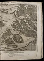 Picture 13 of 15 from Le premier volume contenant Quarante tableaux ou histoires diverses qui sont mémorables touchant les guerres, massacres, & troubles advenues en France en ces dernières années (1575), leaf 110