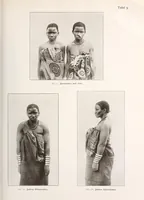 Picture 2 of 16 from Wissenschaftliche Ergebnisse meiner ethnographischen Forschungsreise in den Südosten Deutsch-Ostafrikas (1908), leaf 181