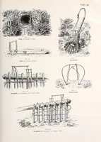 Picture 10 of 16 from Wissenschaftliche Ergebnisse meiner ethnographischen Forschungsreise in den Südosten Deutsch-Ostafrikas (1908), leaf 237