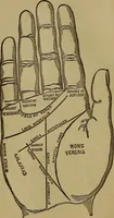 An illustration from The witches' dream book and fortune teller (1885)