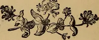 An illustration from Witch Hill : a history of Salem witchcraft, including illustrative sketches of persons and places (1870)