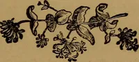 An illustration from Witch Hill : a history of Salem witchcraft, including illustrative sketches of persons and places (1870)