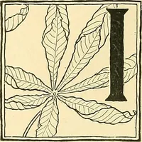 Picture 47 of 64 from With brush and pen : suggestions for some of the newer phases of public school art instruction (1897), leaf 65