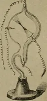 An illustration from Within the mind maze, or, Mentonomy, the law of the mind (1911)