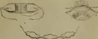 Picture 7 of 15 from Within the mind maze, or, Mentonomy, the law of the mind (1911), leaf 112