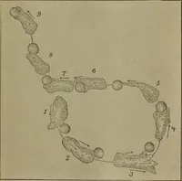 An illustration from Within the mind maze, or, Mentonomy, the law of the mind (1911)