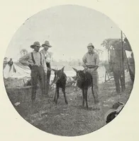 Picture 7 of 14 from With Wilson in Matabeleland, or, Sport and war in Zambesia (1894), leaf 136