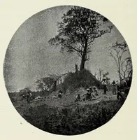 An illustration from With Wilson in Matabeleland, or, Sport and war in Zambesia (1894)