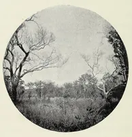 An illustration from With Wilson in Matabeleland, or, Sport and war in Zambesia (1894)