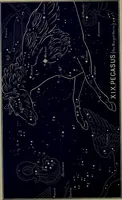 Picture 17 of 37 from The witness of the stars (1921), leaf 141