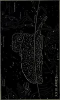 Picture 21 of 37 from The witness of the stars (1921), leaf 167