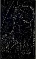 An illustration from The witness of the stars (1921)