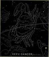 An illustration from The witness of the stars (1921)