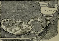 An illustration from The witness of the stars (1921)