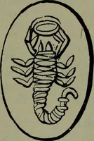An illustration from The witness of the stars (1921)