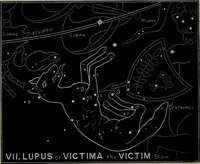 Picture 7 of 37 from The witness of the stars (1921), leaf 79