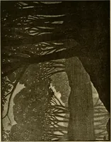 Picture 28 of 59 from The W. Martin Johnson school of art. Elementary instruction in color, perspective, lights and shadows, pen drawing and composition (1909), leaf 67