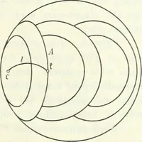 Picture 17 of 35 from Wolfgang und Johann Bolyai geometrische Untersuchungen. Mit Unterstützung der Ungarischen Akademie der Wissenschaften hrsg. von Paul Stäckel (1913), leaf 92