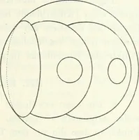An illustration from Wolfgang und Johann Bolyai geometrische Untersuchungen. Mit Unterstützung der Ungarischen Akademie der Wissenschaften hrsg. von Paul Stäckel (1913)