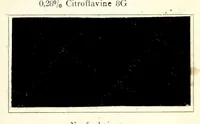 An illustration from Wollmarineblau P2B und Kresolschwarz S4B mit Glanzstoffeffekten im Stück gefärbt = Bleu marine pour laine P2B et noir krésol S4B teints sur pièce avec effets de soire artificielle (Glanzstoff d'Elberfeld) = Wool navy blue P2B and kresol black S4B dyed on piece with Elberfeld artificial silk threads (Glanzstoff) (1890)