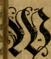 Picture 16 of 31 from Wolmeinendes Bedencken, von der Fama vnd Confession der Brüderschafft dess Rosen Creutzes : eine Vniuersal Reformation vnd Vmbkehrung der gantzen Welt vor dem jüngsten Tag zu einem jrrdischen Paradeyss, wie es Adam vor dem Fall innegehabt, vnd Restitution aller Künste vnd Weissheit, als Adam nach dem Fall, Enoch, Salomon, [et]c. gehabt haben betreffent ... (1616), leaf 152