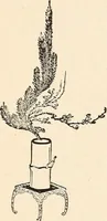 An illustration from The woman's book, dealing practically with the modern conditions of home-life, self-support, education, opportunties, and every-day problems (1894)