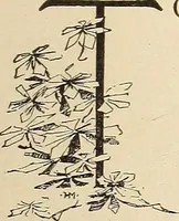 Picture 2 of 230 from The woman's book, dealing practically with the modern conditions of home-life, self-support, education, opportunties, and every-day problems (1894), leaf 22