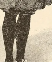 An illustration from The woman's book, dealing practically with the modern conditions of home-life, self-support, education, opportunties, and every-day problems (1894)