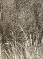 An illustration from The woman's book, dealing practically with the modern conditions of home-life, self-support, education, opportunties, and every-day problems (1894)