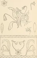 An illustration from The woman's book, dealing practically with the modern conditions of home-life, self-support, education, opportunties, and every-day problems (1894)