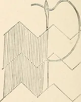 An illustration from The woman's book, dealing practically with the modern conditions of home-life, self-support, education, opportunties, and every-day problems (1894)