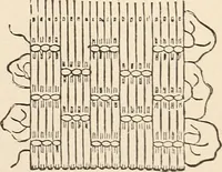An illustration from The woman's book, dealing practically with the modern conditions of home-life, self-support, education, opportunties, and every-day problems (1894)