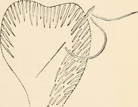 An illustration from The woman's book, dealing practically with the modern conditions of home-life, self-support, education, opportunties, and every-day problems (1894)