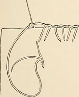 An illustration from The woman's book, dealing practically with the modern conditions of home-life, self-support, education, opportunties, and every-day problems (1894)