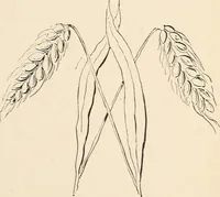 An illustration from The woman's book, dealing practically with the modern conditions of home-life, self-support, education, opportunties, and every-day problems (1894)