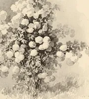 An illustration from The woman's book, dealing practically with the modern conditions of home-life, self-support, education, opportunties, and every-day problems (1894)
