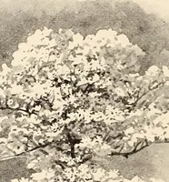 An illustration from The woman's book, dealing practically with the modern conditions of home-life, self-support, education, opportunties, and every-day problems (1894)