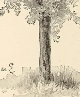 An illustration from The woman's book, dealing practically with the modern conditions of home-life, self-support, education, opportunties, and every-day problems (1894)